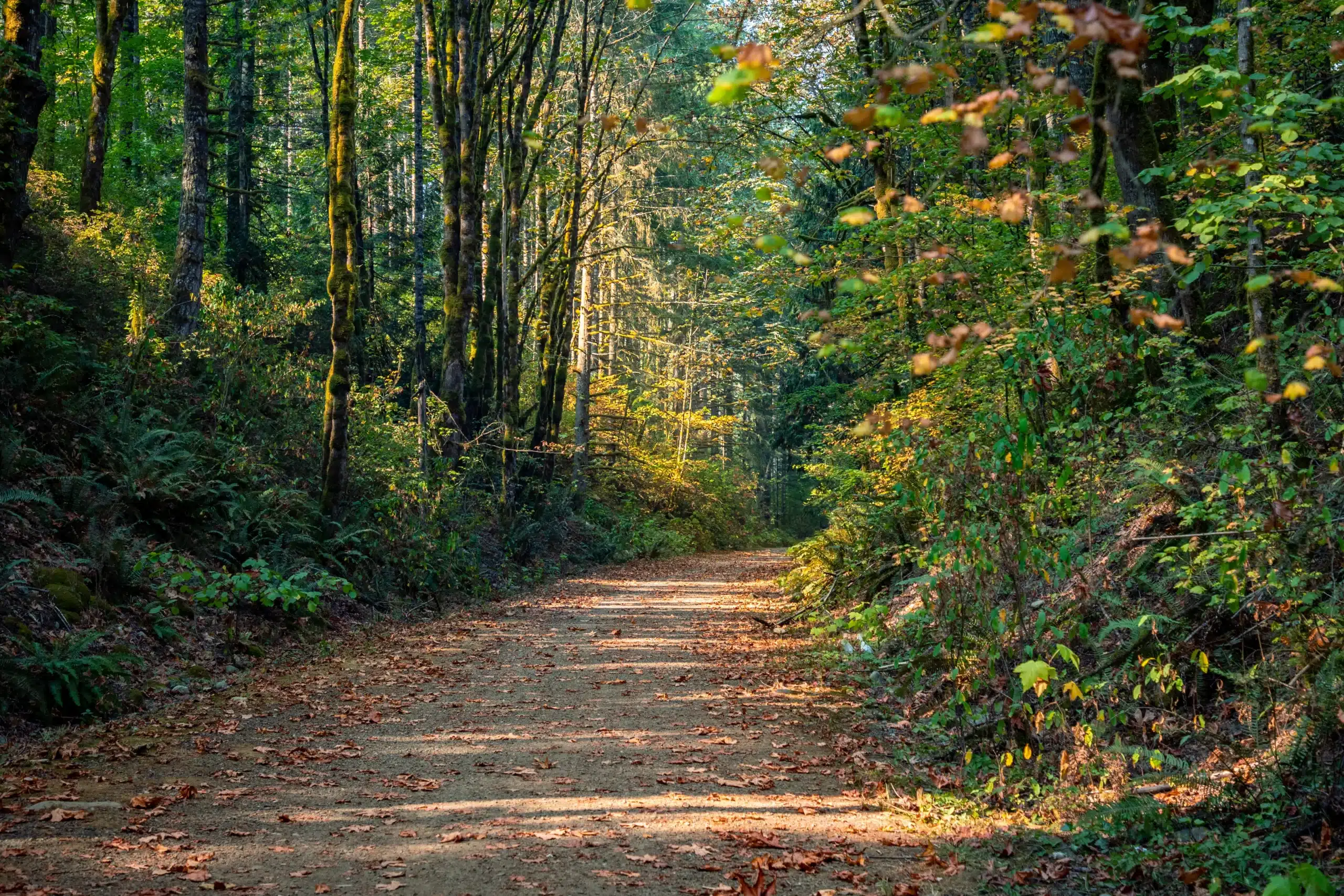 Embrace the vibrant local culture and outdoor adventures in Snoqualmie.