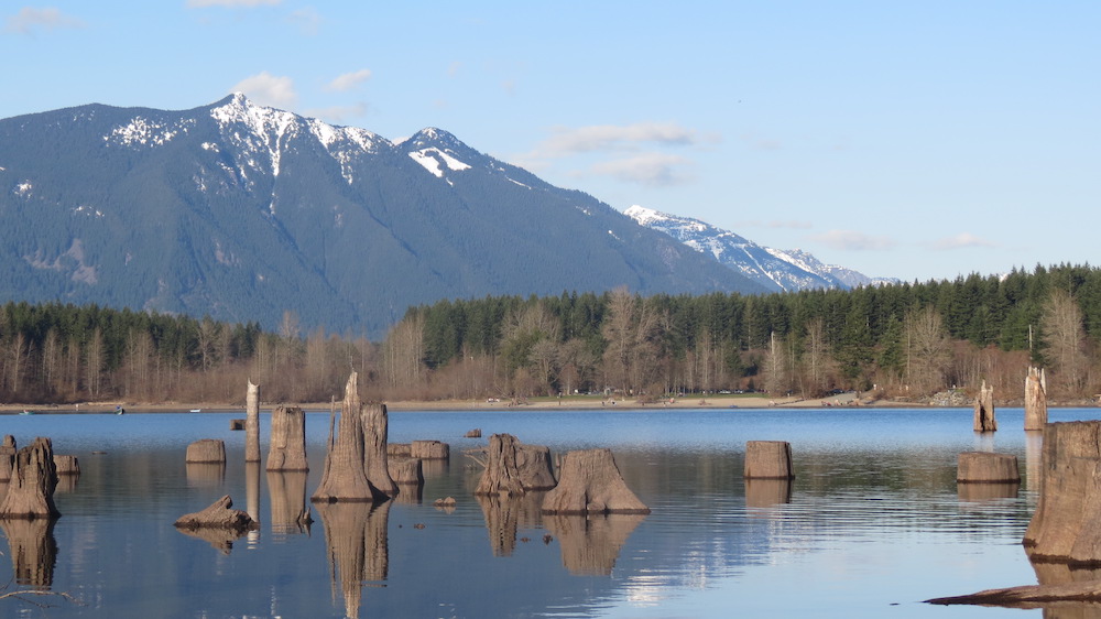 Step into the past on the scenic trails of the Snoqualmie Valley with the Northwest Railway Museum's History Hikes.