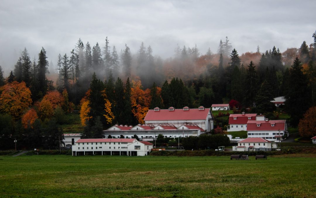 Farm Fresh Elegance: Carnation Farms’ Dinner Series Unveiled