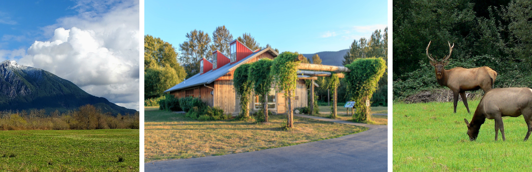 Where Nature and History Converge: The Story of Meadowbrook Farm