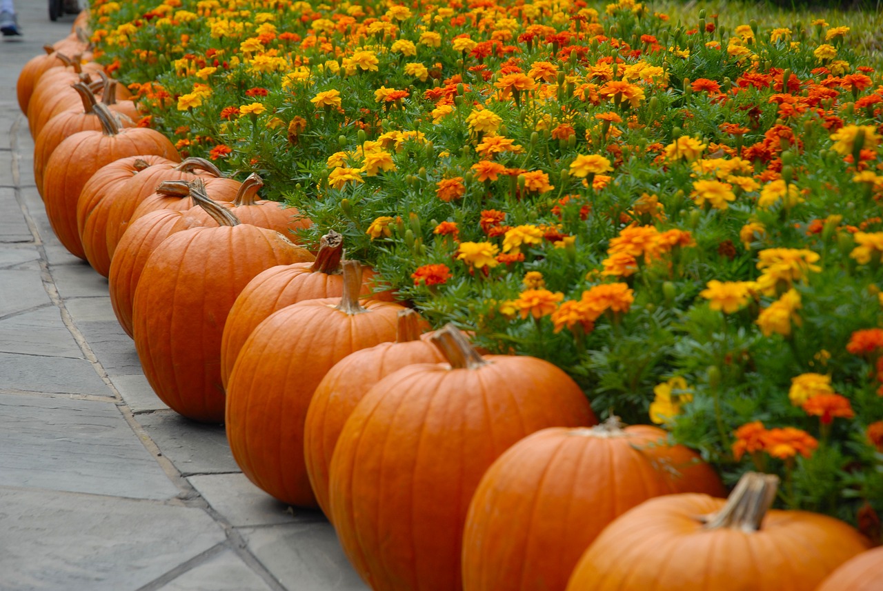 Spooky Spectacles: Halloween Happenings in Snoqualmie Valley